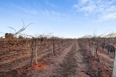 57 Old Sturt Highway Barmera SA 5345 - Image 2
