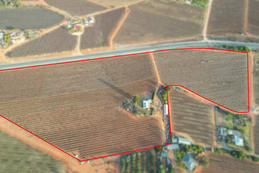 57 Old Sturt Highway Barmera SA 5345 - Image 3