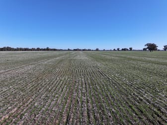 Berrigan Oaklands Road Berrigan NSW 2712 - Image 2