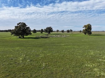 Berrigan Oaklands Road Berrigan NSW 2712 - Image 3