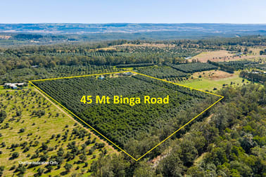 45 & 57 Mount Binga Road Mount Binga QLD 4314 - Image 1