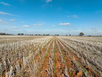 511 Christies Road Katunga VIC 3640 - Image 1