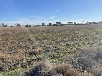 Lot 405 North West Terrace Warnertown SA 5540 - Image 1