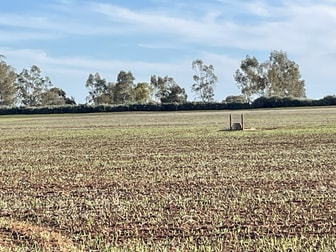 Lot 405 North West Terrace Warnertown SA 5540 - Image 3