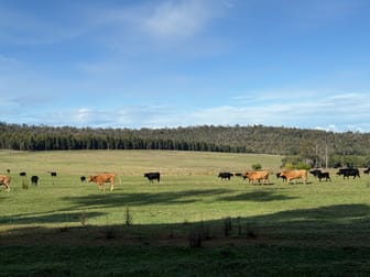 228 Peppermint Grove Road Middlesex WA 6258 - Image 2