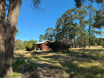 44 Mcnicol Lane Cottonvale QLD 4375 - Image 3
