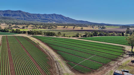 Lot 2 Watkins Dr Thornton QLD 4341 - Image 1