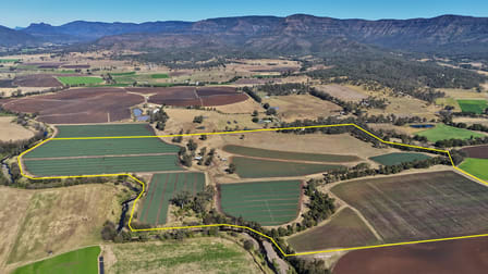 Lot 2 Watkins Dr Thornton QLD 4341 - Image 3