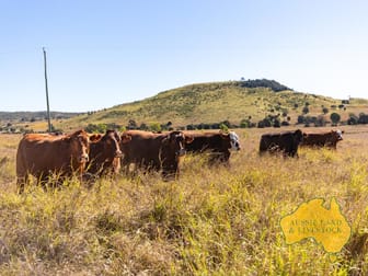 1278 TOP GURGEENA ROAD Branch Creek QLD 4625 - Image 1