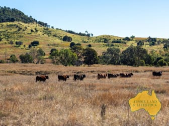 1278 TOP GURGEENA ROAD Branch Creek QLD 4625 - Image 2
