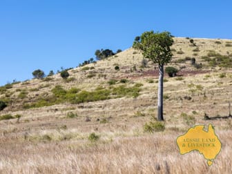 1278 TOP GURGEENA ROAD Branch Creek QLD 4625 - Image 3