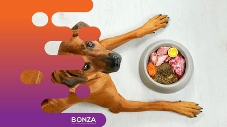 Animal Related  business for sale in Bunbury - Image 1