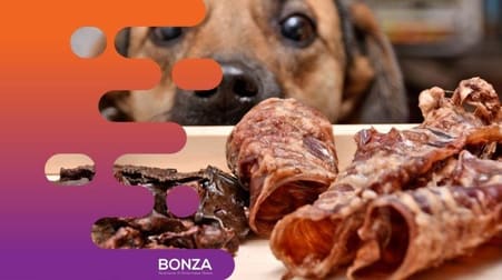 Animal Related  business for sale in Bunbury - Image 2