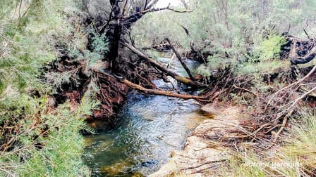 Lot 1389 Orange Springs Road, Orange Springs Gingin WA 6503 - Image 3