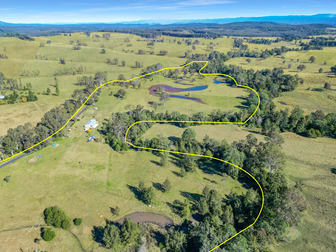 161 Tabulam Road Lower Bottle Creek NSW 2469 - Image 1