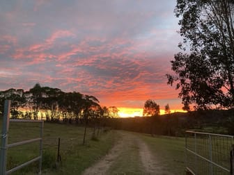 620 Tabulam Road Lower Bottle Creek NSW 2469 - Image 1