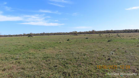 * Springvale Walgett NSW 2832 - Image 1