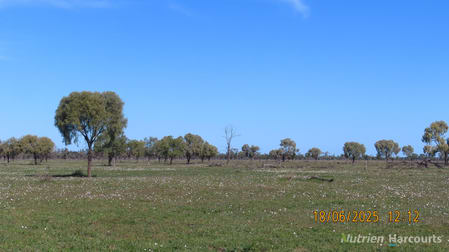 * Springvale Walgett NSW 2832 - Image 2