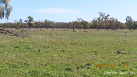 * Springvale Walgett NSW 2832 - Image 3