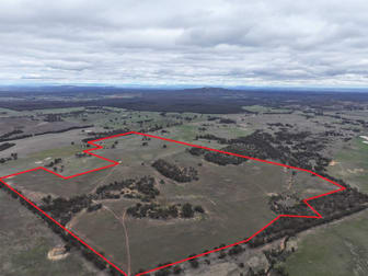Lot 1 Rheola - Llanelly Road Murphys Creek VIC 3551 - Image 1