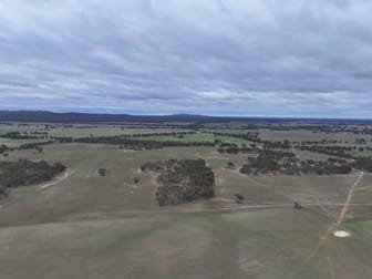 Lot 1 Rheola - Llanelly Road Murphys Creek VIC 3551 - Image 3