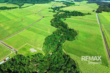 142 Tati Road Miallo QLD 4873 - Image 3
