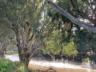 18764 Kamilaroi Highway Narrabri NSW 2390 - Image 2
