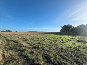 Lot 403 Riddoch Highway Naracoorte SA 5271 - Image 1