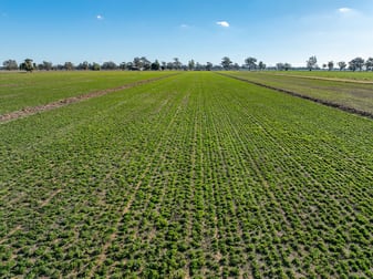 81 Dowra Lane Forbes NSW 2871 - Image 1