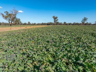 81 Dowra Lane Forbes NSW 2871 - Image 3