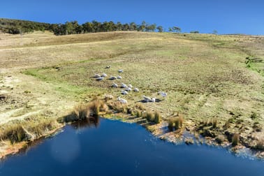 230 Marian Vale Road Boxers Creek NSW 2580 - Image 3