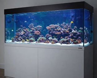 Animal Related  business for sale in Sydney - Image 1