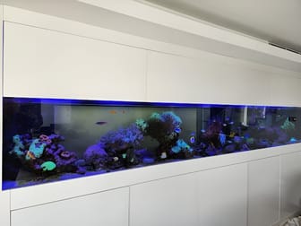 Animal Related  business for sale in Sydney - Image 2