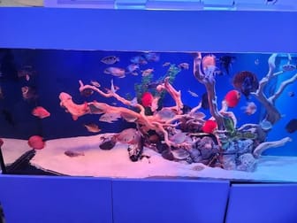 Animal Related  business for sale in Sydney - Image 3