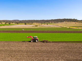 "Karinya" 586 Moran Road Linthorpe QLD 4356 - Image 2