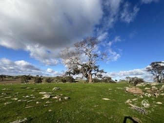 132/ Moss Smith Road Eden Valley SA 5235 - Image 1