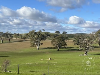 132/ Moss Smith Road Eden Valley SA 5235 - Image 3