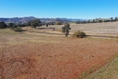 76 Sylvias Gap Road Tumblong NSW 2729 - Image 3