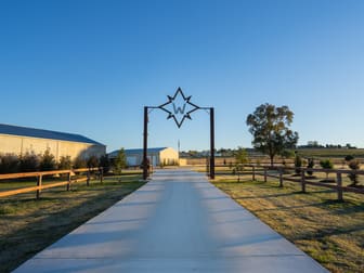 461 Jack Smith Gully Road Freestone QLD 4370 - Image 2