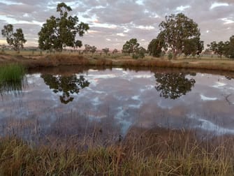 14317 Golden Highway Leadville NSW 2844 - Image 1