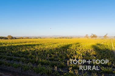 1404 Research Road Ebenezer SA 5355 - Image 2