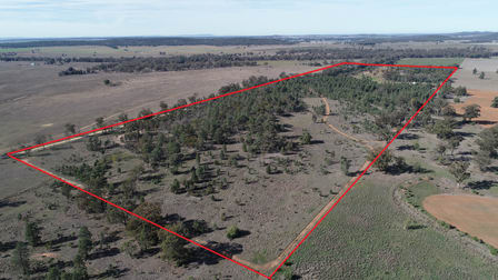 79 Mercadool Lane Bogan Gate NSW 2876 - Image 2