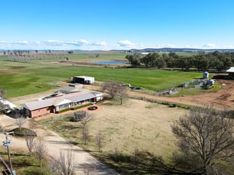 349 Nangar Road Canowindra NSW 2804 - Image 1
