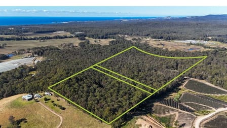 Lot 18 Sherwood Creek Road Upper Corindi NSW 2456 - Image 1