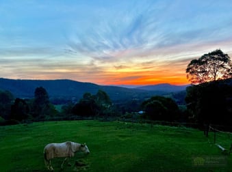 43 Rowe Lane Cedar Creek QLD 4207 - Image 2