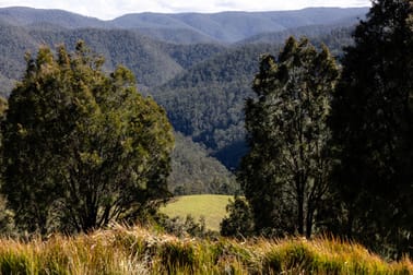 214 Eaglehawk Trail Yarrowitch NSW 2354 - Image 1