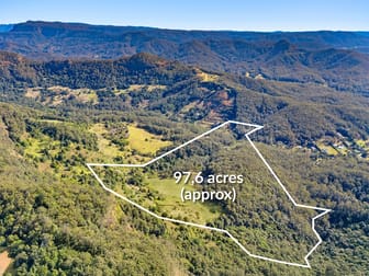 193 Petsch Creek Road Tallebudgera Valley QLD 4228 - Image 1