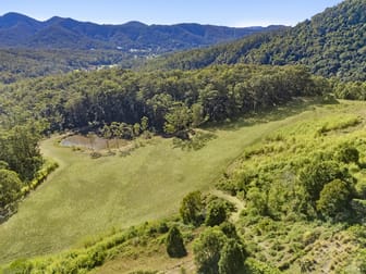 193 Petsch Creek Road Tallebudgera Valley QLD 4228 - Image 3