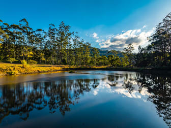193 Petsch Creek Road Tallebudgera Valley QLD 4228 - Image 3
