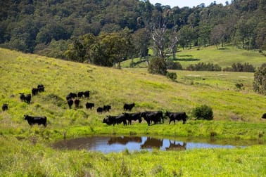 Butcher  business for sale in Darling Downs & South West Greater Region QLD - Image 3